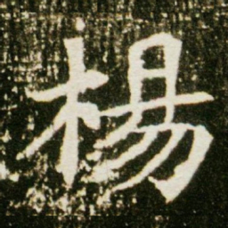 杨书法图片
