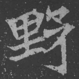 魏碑野书法图片