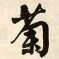 文征明菊书法图片