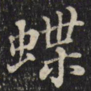 张照蝶书法图片