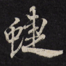 赵金简蝶书法图片