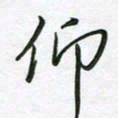 王晓华仰书法图片