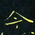 刘振林今书法图片
