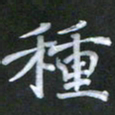 徐晓辉种书法图片