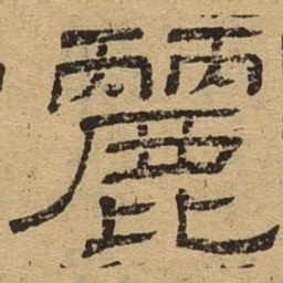 丽书法图片