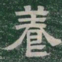 養书法图片