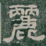 麗书法图片