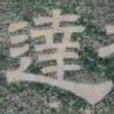 達书法图片