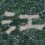 江书法图片
