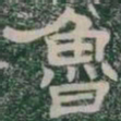 魯书法图片
