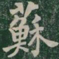 蘇书法图片