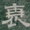 衰书法图片