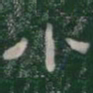 小书法图片