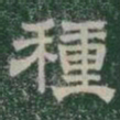 種书法图片