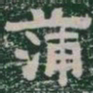 蒲书法图片