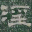 淫书法图片