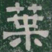 葉书法图片