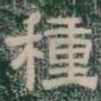 種书法图片