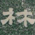 林书法图片