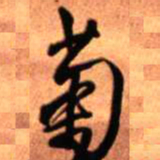 王铎菊书法图片