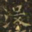 萧子云没书法图片