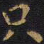 王铎只书法图片