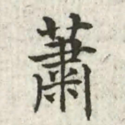 张芾萧书法图片