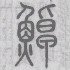 罩书法图片