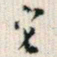 罗振玉它书法图片