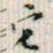 罗振玉它书法图片