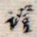 吴湖帆证书法图片