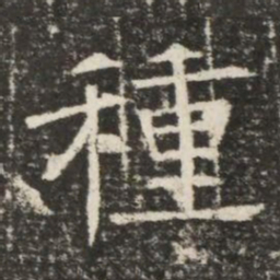 種书法图片