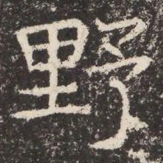 野书法图片