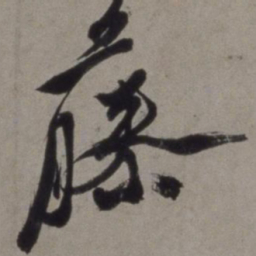 徐渭藤书法图片