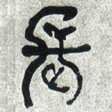 何绍基長书法图片