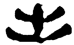 简帛出书法图片