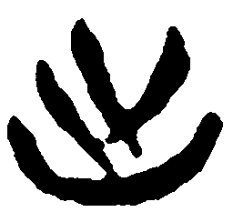 简帛出书法图片