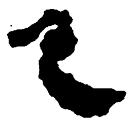 简帛色书法图片