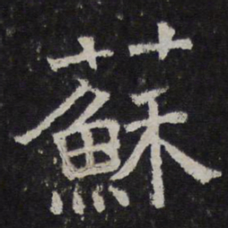 苏书法图片