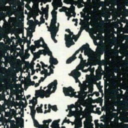 金文華书法图片