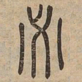 必书法图片