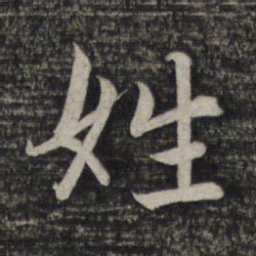 赵孟頫姓书法图片