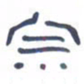 胡三银宗书法图片