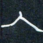 王国灵人书法图片