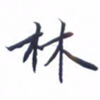 刘振林林书法图片