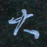 花爱军大书法图片