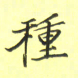 张毅君种书法图片