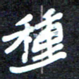 马平飞种书法图片