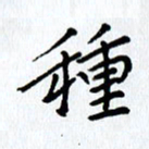 张丽娜种书法图片