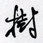李宏兵树书法图片